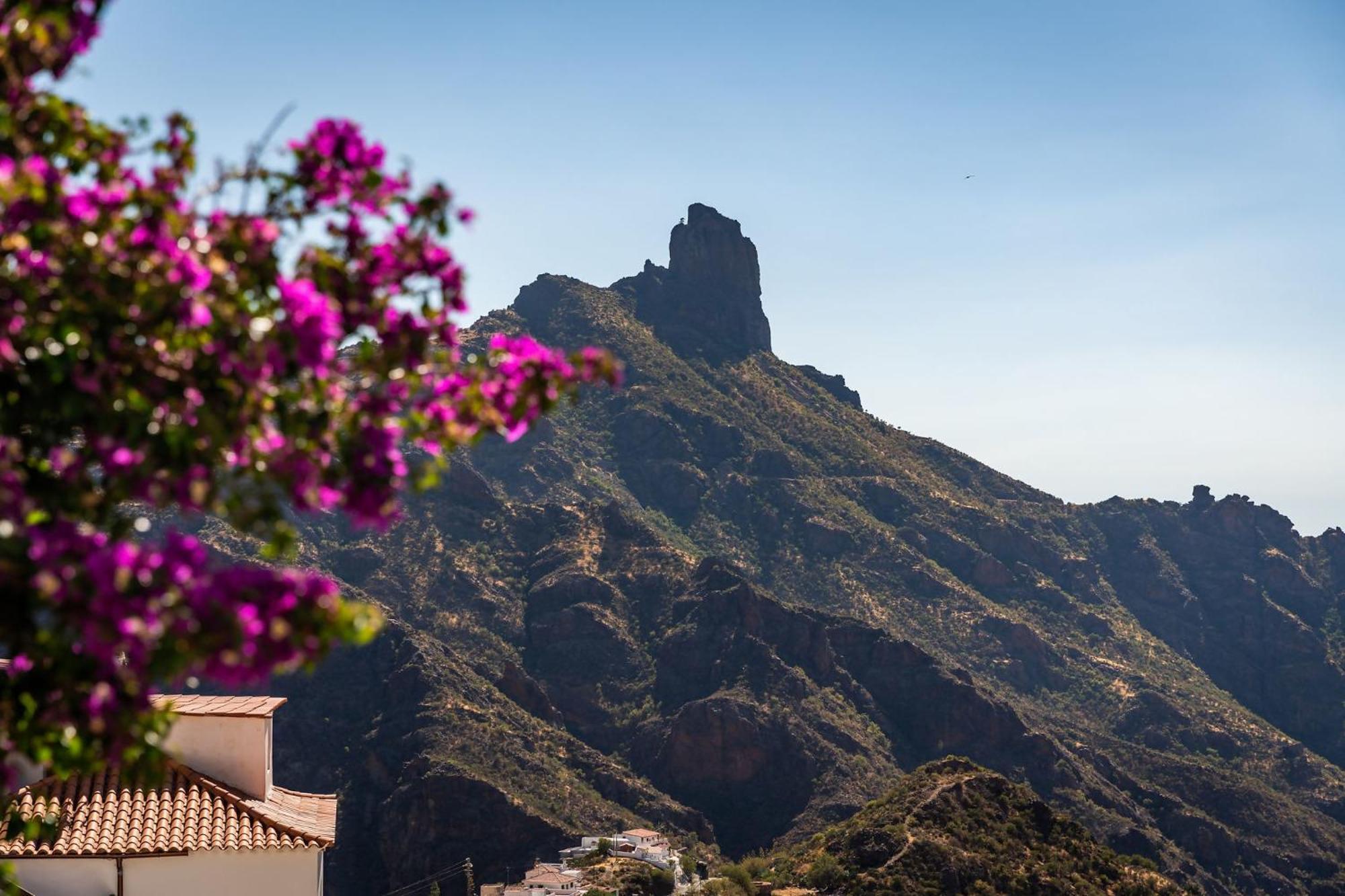 Macaronesia Lpa Suites Las Palmas de Gran Canaria Exteriör bild